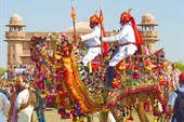 Bikaner Camel festival